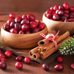 Spiced Cranberry Breakaway Wax Melt 3oz.
