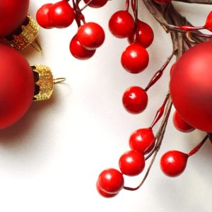 Jingleberry Breakaway Wax Melt 3oz.